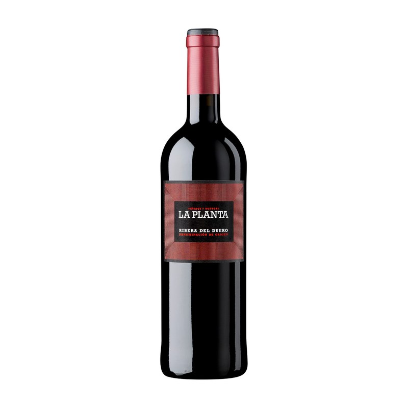 Botella de Arzuaga La Planta