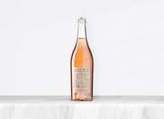 Botella de Paltrinieri, Radice